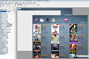 小说下载器源码 易语言